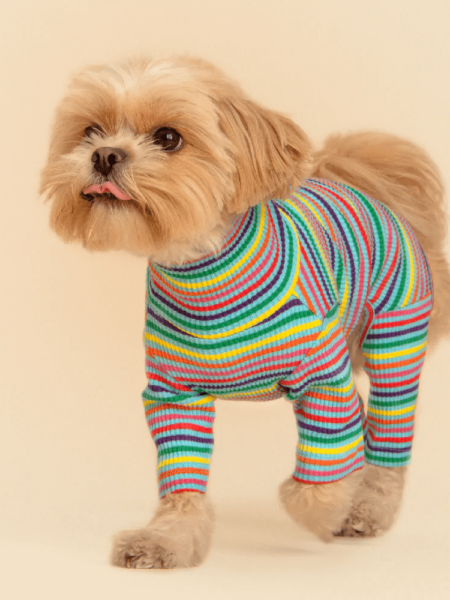 Fabulous Onesie